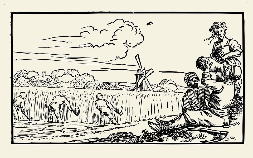 Harvest