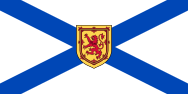 NS Flag