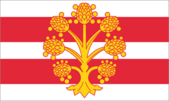 County Flag of Westmorland
